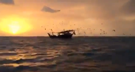 بالفيديو.. مشهد رائع لـ شروق الشمس في جزيرة أحبار بجازان