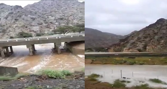 فيديو مهيب لجريان السيول على طريق ” المدينة –ينبع “
