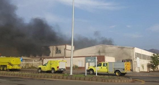 بالصور.. حريق هائل بمصنع للإسفنج في المدينة