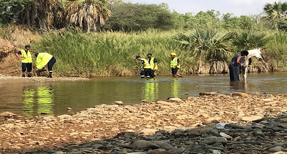 بالصور.. البحث عن مفقود سيل وادي قرى لليوم السادس على التوالي