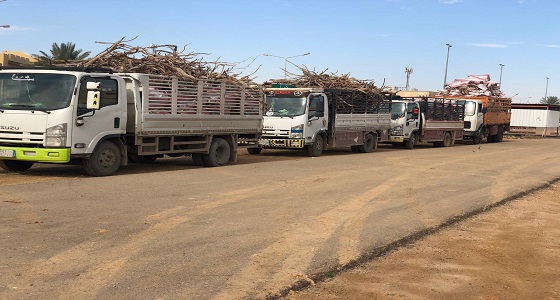“البيئة” تضبط مستودعات لتخزين وبيع الحطب المحلي بالجوف