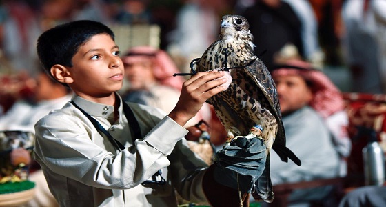 أصغر صقّار سعودي يلفت انتباه زوار معرض الصقور والصيد بالرياض