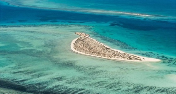 مشروع البحر الأحمر يضع المملكة في مكانة مرموقة على خريطة السياحة العالمية