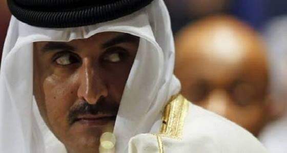 ردا على دعمه للحوثيين بالمال والمعلومات.. نشطاء يصفون تنظيم الحمدين بالغدار