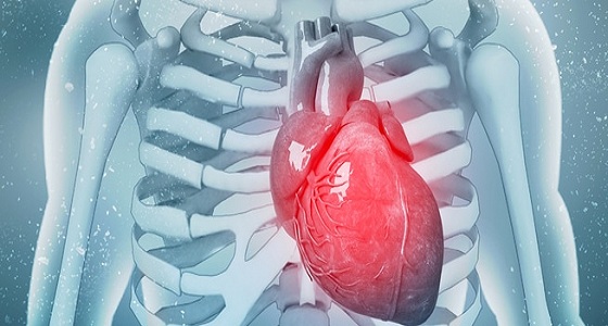 خالد النمر يكشف قائمة أكلات مقوية لعضلة القلب