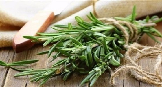 بجانب نكهته المميزة فوائد جمالية لأكليل الجبل.. اكتشفيها