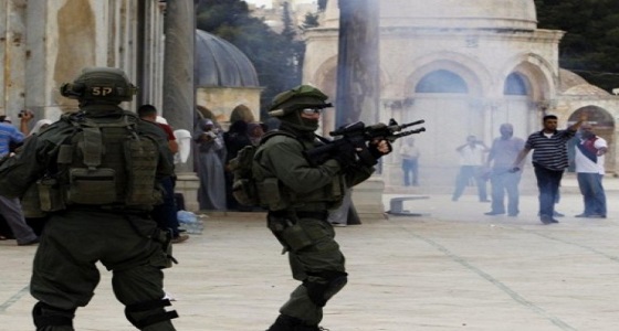 قوات الاحتلال تعتقل أسيرا فلسطينيا محررا من مخيم جنين