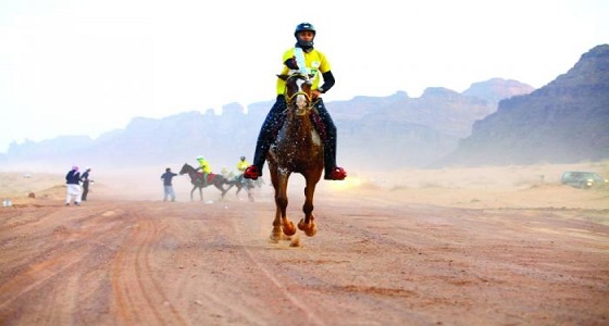 بتوجيه ولي العهد.. 15 مليون ريال لجوائز كأس الملك للقدرة والتحمل