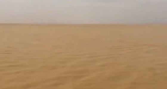 بالفيديو.. روضة العكرشية تمتلأ بمياه الأمطار