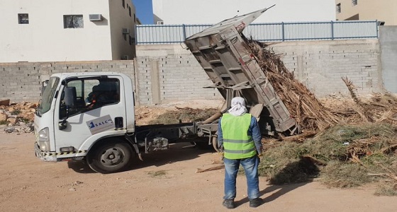 بالصور.. حجز 11 معدة لرميهم المخلفات في الأودية بنمار