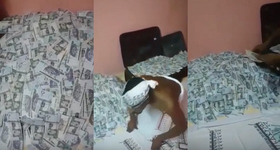 بالفيديو.. وافد يستخدم الشعوذة للنصب وزعم مضاعفة الأموال بالسحر