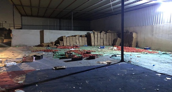 بالصور .. إغلاق منزل شعبي لتخزين الطماطم بحي المصانع