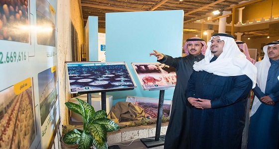 بالصور.. الامير محمد بن عبدالرحمن نائب أمير الرياض يزور المهرجان الوطني للتراث والثقافة الجنادرية 33