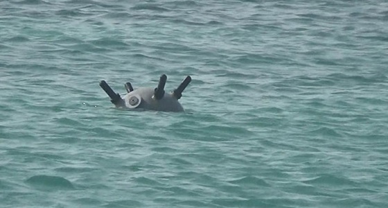 العثور على 10 ألغام بحرية بالبحر الأحمر غرب اليمن