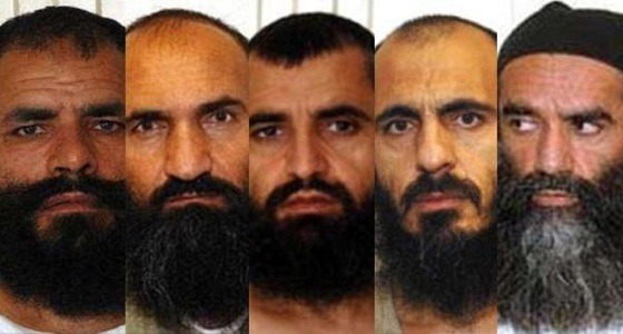 تورط قطر في تعزيز نشاط ” طالبان ” الإرهابي