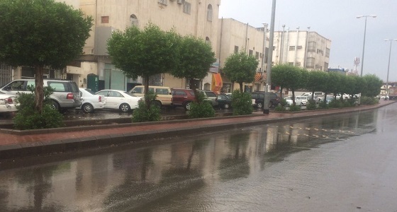 بالصور.. هطول أمطار على المدينة المنورة