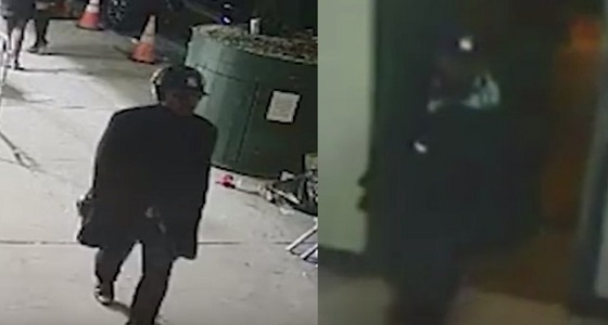 بالفيديو.. محام مرموق نهارا.. لص مغتصب ليلا