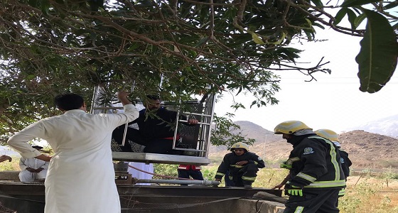 بالصور.. مدني المخواة ينجح في إخراج شاب من داخل بئر على عمق 30 متر