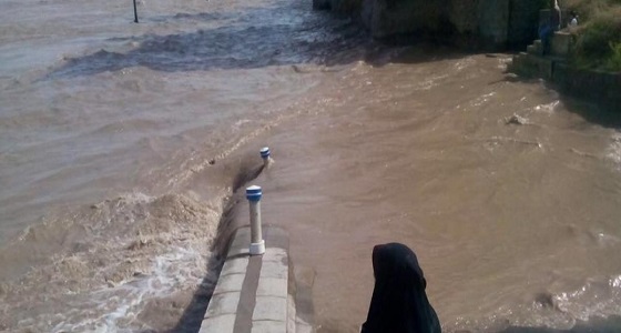 السيول والفيضانات تغرق 5 محافظات إيرانية