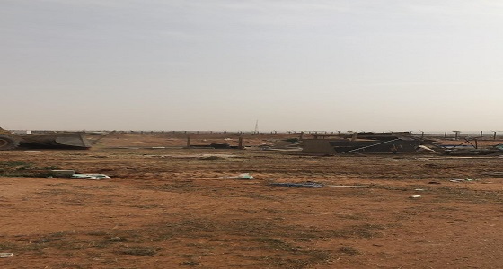 بالصور .. إزالة 3 مسالخ عشوائية و25 حظيرة وغرفة خشبية شرق الرياض