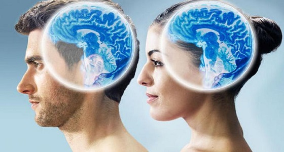 دراسة حديثة: أدمغة النساء أكثر شبابا من الرجال