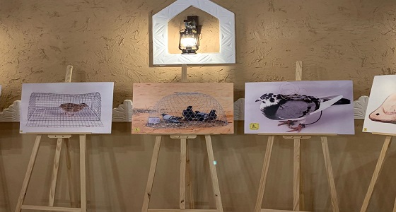 بالصور.. جمعية الثقافة والفنون بالحدود الشمالية تشارك بمهرجان الصقور