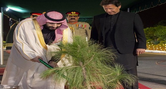سر الشجرة التي زرعها ولي العهد في القصر الرئاسي خلال زيارته لباكستان