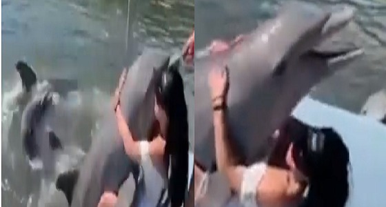 موقف طريف لدولفين يتحرش بسائحة داعبته بلطف