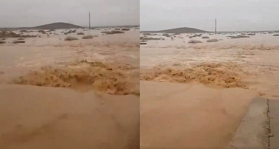 بالفيديو.. تدفق السيول غرب البجادية وتوقعات بتوسع الحالة المطرية