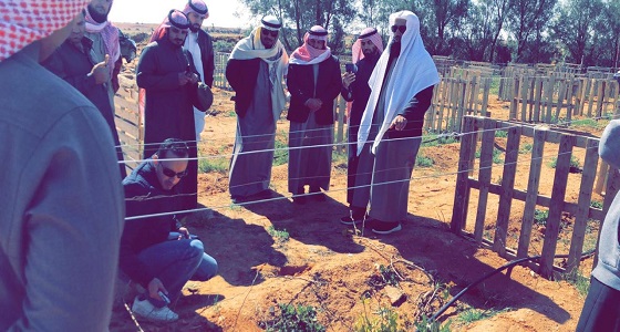 ” البيئة ” تنفذ برنامجاً تدريبياً حقلياً لتقليم العنب بالجوف