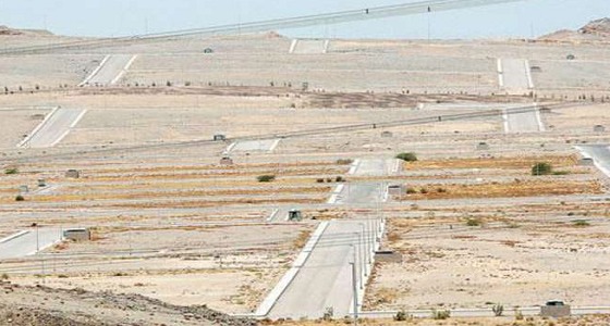 توجيهات عليا لـ ” وزارات ” باستعادة أراضي بيعت بصكوك مزورة