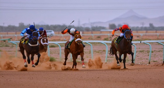 خير السلام يظفر بكأس المرحوم مسير القاسم في ميدان فروسية حائل