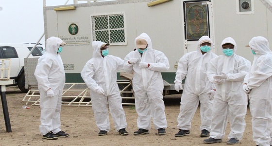 ” البيئة ” تكافح الجراد الصحراوي على مساحة 20 ألف هكتار خلال شهر