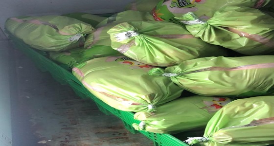 1684 زيارة تفتيشية تغلق 166 منشأة مخالفة خلال الأسبوع 38 من حملة غذاؤكم أمانة