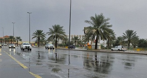 بالفيديو.. حالة الطقس المتوقعة غدًا الأحد