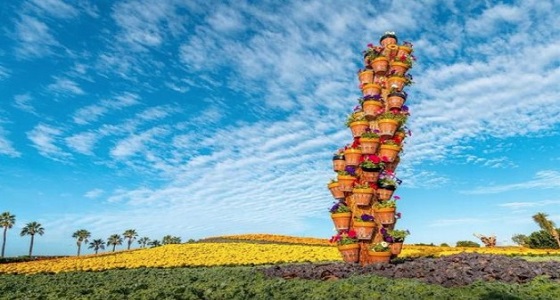 بالصور.. فعاليات المملكة خلال عطلة نهاية الأسبوع 