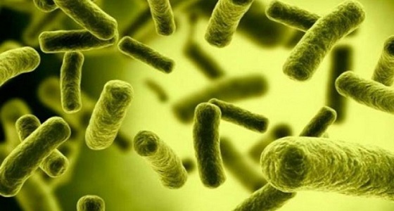بالفيديو.. أبرز فوائد البكتيريا النافعة.. من بينها إنقاص الوزن