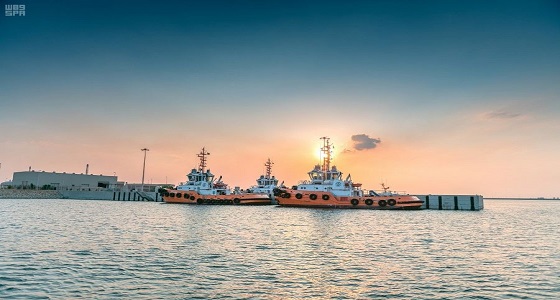 78 % نمو عمليات المناولة بميناء رأس الخير