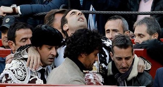 بالفيديو.. ثور ضخم يهاجم مصارع شهير ويطيح به في الهواء