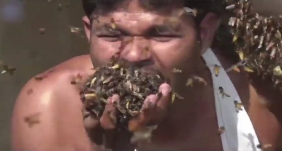بالفيديو.. رجل يلتهم المئات من النحل ولا يتأثر بلسعاتهم
