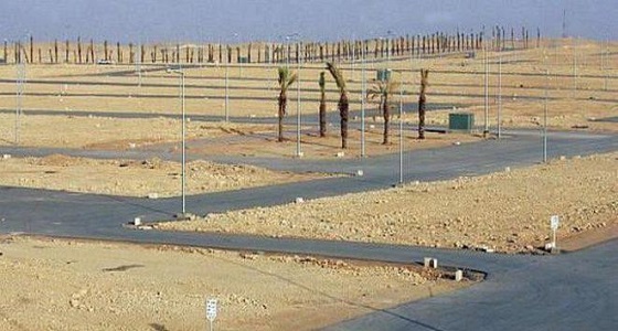 لجنة ” الأراضي البيضاء ” تصدر 147 قرارا جديدا على مخالفي النظام واللائحة التنفيذية