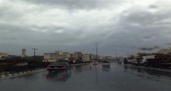 تنبيه من الأرصاد بحالة مطرية رعدية على الباحة