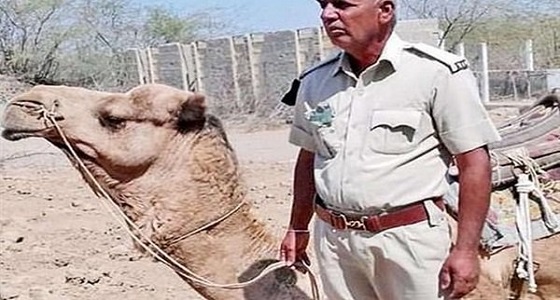 موقف مؤثر لجمل بعد وفاة صاحبه