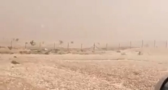 بالفيديو.. بردية قوية تقتحم أجواء شمال الرياض