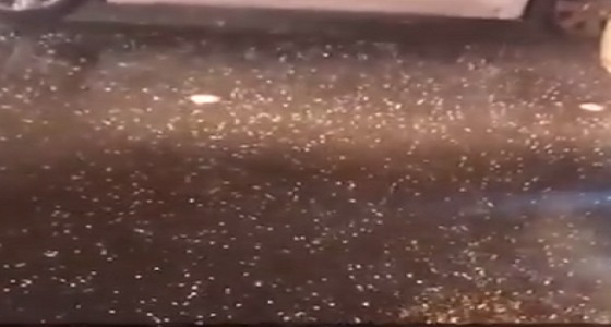 بالفيديو.. تساقط الأمطار والبرد على الرياض