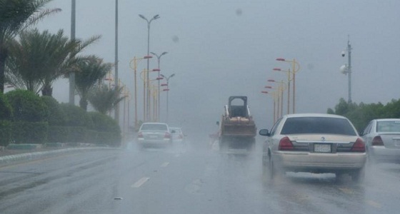 بالفيديو.. حالة الطقس المتوقعة ليوم الجمعة