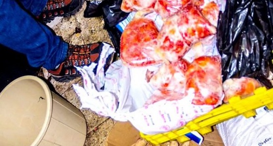 أمانة الأحساء تغلق 3 مطاعم وتوجه 31 إنذارا لعدد من المنشآت الغذائية في مدينة المبرز