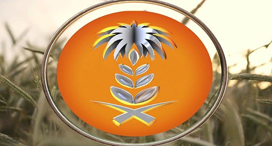 المؤسسة العامة للحبوب تعلن عن توفر 24 وظيفة شاغرة