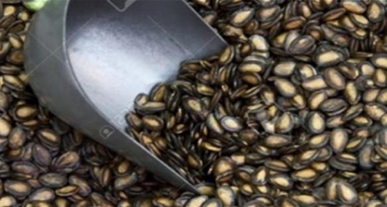 فائدة جمالية لن تتوقعيها لـ ” لب البطيخ “