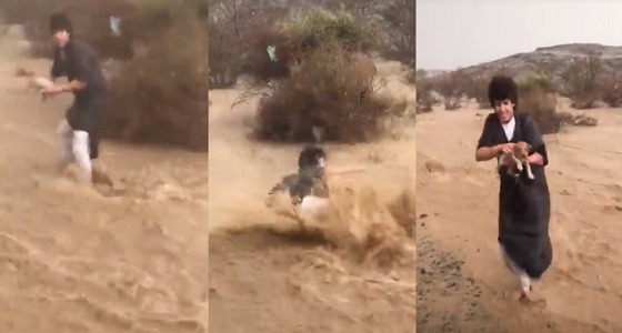 بالفيديو.. طفل يخاطر بحياته وينقذ جراء من السيول